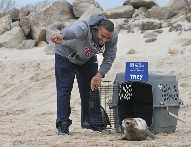 Trey Flowers points out the location of the ocean to Trey the seal. The Providence Journal / Bob Breidenbach