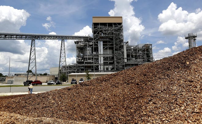 The Gainesville Renewable Energy Center, often called the biomass plant. Gainesville Regional Utilities officials are considering whether to buy the plant. [Sun file photo]