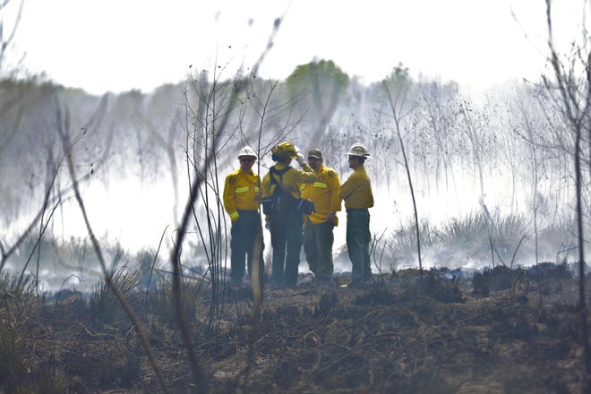 Officials from Florida Forest Service survey the results of a prescribed fire at Paynes Prairie Preserve State Park in Gainesville on Friday. The 700-acre burn is to eliminate dried vegetation that could otherwise become fuel for a wildfire and to improve the natural landscape in Paynes Prairie. [Andrea Cornejo/Staff photographer]