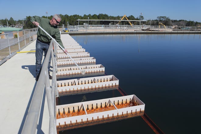 Don Hamm scoops a sample of water at the Bay County Water Treatment Plant in February 2015. The plant recently earned top honors from the Florida Department of Environmental Protection for the sixth consecutive year. [NEWS HERALD FILE PHOTO]