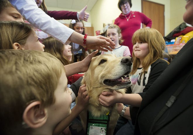 Third-graders at Dutch Ridge Elementary School eagerly pet Ripple, a golden retriever, belonging to Beaver Area School District Superintendent Carrie Rowe. Rowe brings her licensed therapy dog to visit the students a couple times a week. Ripple, along with mental health therapist Samantha Gimigliano's dog, Truman, help students with social skills, anxiety issues and stress.