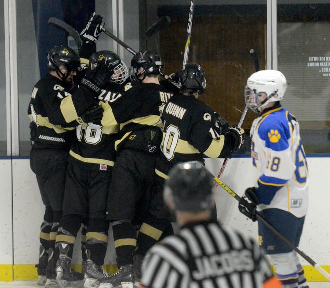 Quaker Valley players celebrate Ricardo Fernandez's goal during the Quakers' playoff win over Hampton on Wednesday at Frozen Pond Arena in Valencia.