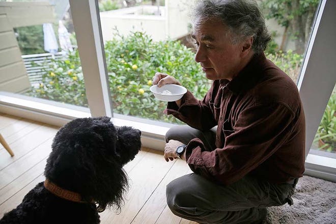 Michael Fasman prepares to give his dog Hudson a bowl of yogurt containing cannabis extract at his home in San Francisco.