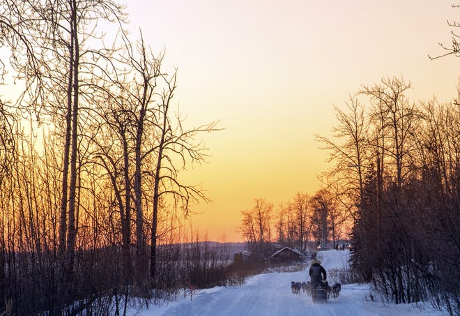 In this image taken Tuesday, March 7, 2017, and provided by the Iditarod Trail Committee, the sun sets as veteran musher Nicolas Petit makes his way into Tanana, Alaska, the third checkpoint of the Iditarod Trail Sled Dog Race. THE ASSOCIATED PRESS