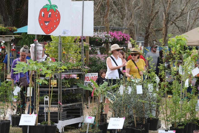 People browse plants at last year's Master Gardeners' Spring Festival at the Southeastern Livestock Pavilion in Ocala. This year's festival runs Saturday and Sunday. [Bruce Ackerman/Staff photographer/file]