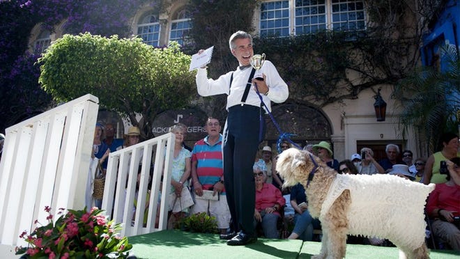 Fred Mitzner, of Palm Beach, and his dog Torrie, walk the Worth Avenue annual Pet Parade and Contest on Saturday dressed as Warren Beatty and Faye Dunaway in Via Amore. (Meghan McCarthy / Daily News)
