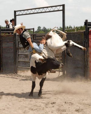 A bull at Shady Acres is on the verge of unseating its rider. [Contributed photo]