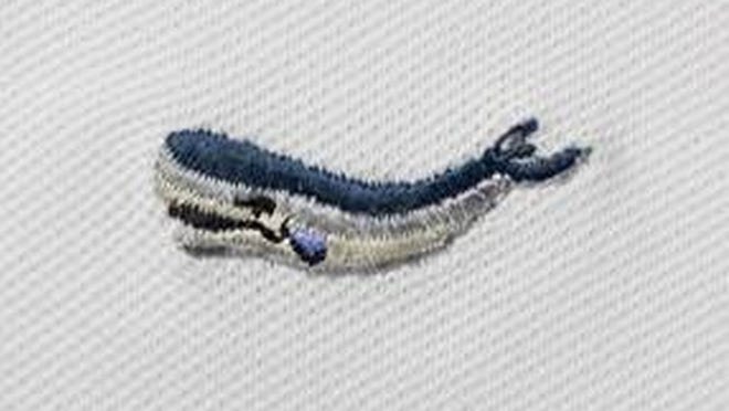 Arkwear’s embroidered sperm whale, a threatened animal species.