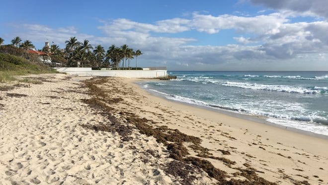 Clarke Beach at low tide on March 21. Courtesy Town of Palm Beach.