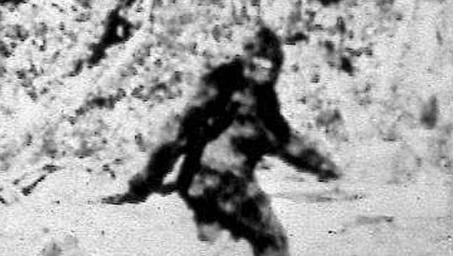 Photographers Roger Patterson and Bob Gimlin made this image Oct. 20, 1967, purportedly showing a female Bigfoot. The image was later dismissed as a man in a monkey suit. (Associated Press)