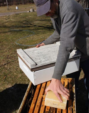 Jonathan Showalter, owner of Beeline Apiaries & Woodenware, checks on bee colonies Wednesday outside the Mendon Township plant. Showalter is leading a one-day beekeeping class next weekend. It is the only session he plans to offer this year.