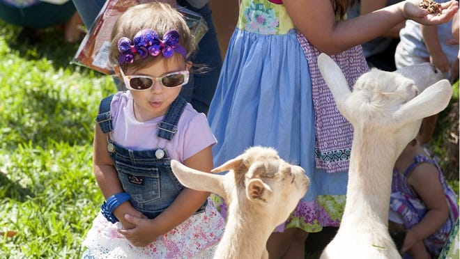 Trinity Greenwood, 2, admires the goats during American Farmer Day at the Society of the Four Arts Thursday March 30, 2017 in Palm Beach. (Meghan McCarthy / Daily News)