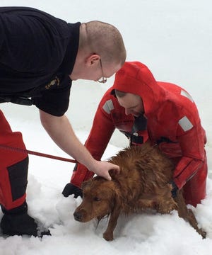 North Hampton firefighter Will Taber saved 3-year-old golden retriever Emmett from an icy pond and is greeted by fellow firefighter Mike Morin on Wednesday. [Courtesy photo/North Hampton Fire Department]