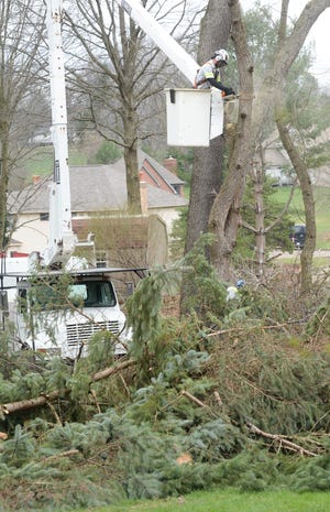 Workers cut trees behind houses in the 5900 block Ballyshannon Circlle NW in Jackson Township. Dominion East Ohio Gas says it is having trees growing over pipelines removed for safety reasons. (CantonRep.com / Michael Balash)