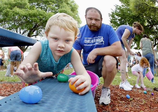 (L-R) Presley Masterson, 2&1/2, goes for the eggs as dad Patrick Masterson looks on during the City of Winter Haven Hoppin' Hunt egg hunt at MLK Park in Winter Haven, Florida March 26, 2016.   The Ledger/Pierre DuCharme