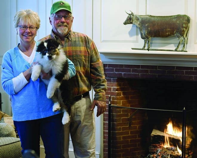 Robin and Steve Prouty, with Cabot, an Australian shepherd pup. Robin runs a kennel and dog training facility at the farm, where she has bred and raised champion dogs. On the mantel behind them is the original copper weathervane that was made in New Hampshire and purchased by Prouty's grandparents in early 1900s. It was discovered in a shed under some debris. [T&G Staff/Christine Peterson]