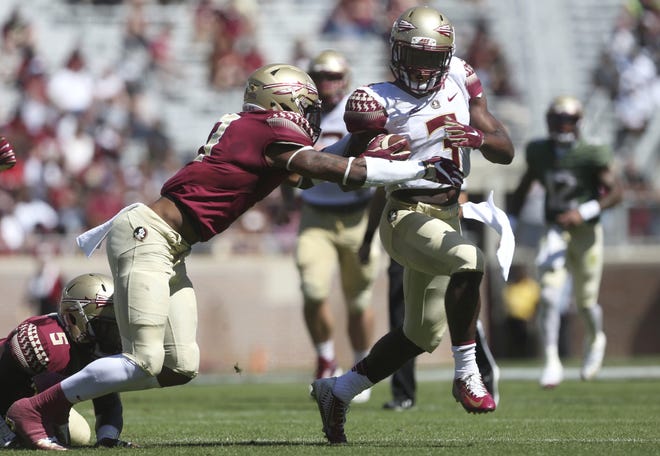 Florida State's Cam Akers tries to break away from Stanford Samuels III during the NCAA college football team's Garnet and Gold spring game in Tallahassee Saturday. [JOE RONDONE / TALLAHASSEE DEMOCRAT via AP]