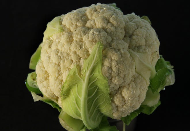 Endlessly versatile and loaded with nutrients, cauliflower is the ingredient of the year. [The Providence Journal, file / Sandor Bodo]