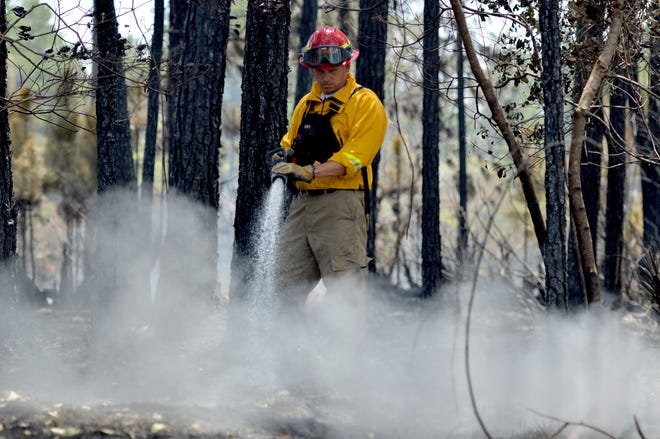 Lieutenant Jeff Hurst of the Lake County Fire Department puts out hotspots as a forest fire continues to smolder near the Royal Trail subdivision on Monday, April 17, 2017 in Eustis, Fla. [AMBER RICCINTO / DAILY COMMERCIAL]