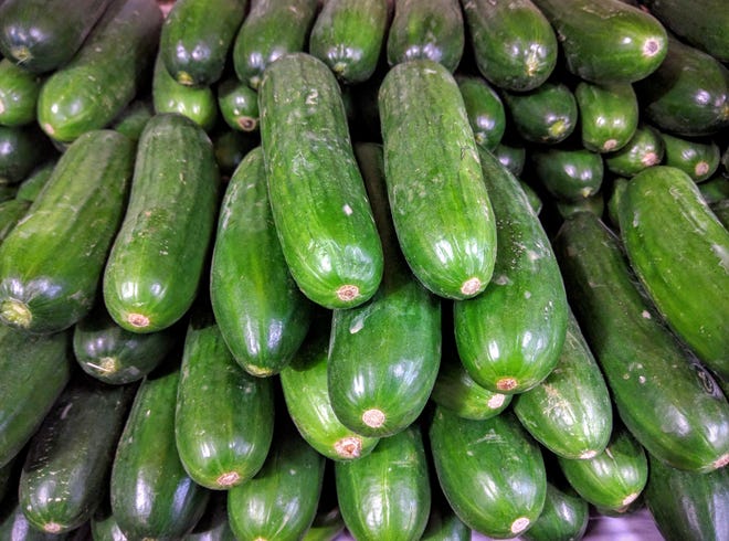 Cucumbers, along with celery and iceberg lettuce, are 95 percent water and can quench your thirst. (Photo by Maksym Kozlenko (Own work) [CC BY-SA 4.0 (http://creativecommons.org/licenses/by-sa/4.0)], via Wikimedia Commons)
