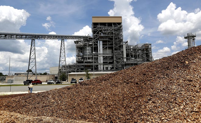 Wood used for fuel is piled up next to the Gainesville Renewable Energy Center. [Gainesville Sun file photo]