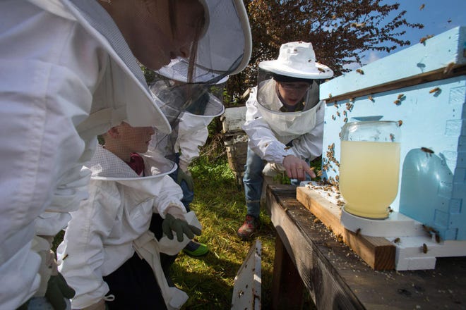 Kelly Goodwin joins second graders at Oak Hill School in Eugene, Ore. Tuesday, April 18, 2017 as they watch bees acclimate to their new hive. Most of the school’s bee population died this winter as a result of a combination of potential factors, including pesticides, disease and cold weather. Second-graders at the private school raise the bees as part of their studies of the natural world. (Brian Davies/The Register-Guard)