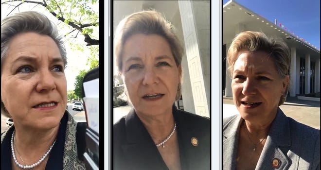 N.C. Rep. Deb Butler, D-New Hanover, in screen shots from videos she took of herself venting about issues at the N.C. General Assembly building in Raleigh. [CONTRIBUTED PHOTO]