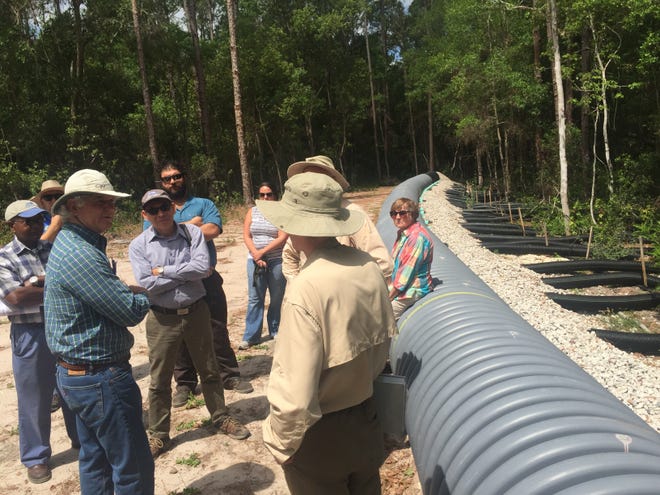 Tom DeBusk, Watershed Technologies LLC's operational manager, left front, leads a tour of the Trout Lake Hybrid Wetland Treatment Facility in Eustis, explaining to the visitors the processes being used to clean up Trout Lake. [ROXANNE BROWN / DAILY COMMERCIAL]