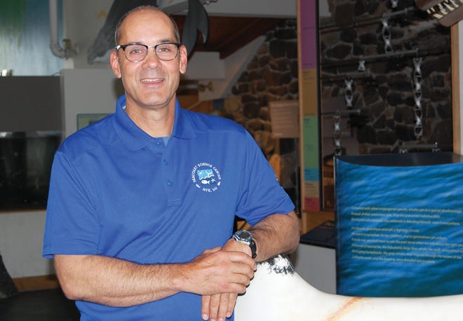 Jim Chase was recently named its president of the Seacoast Science Center in Rye. Chase served as vice president of the center from 2001 to 2013. [Courtesy photo]