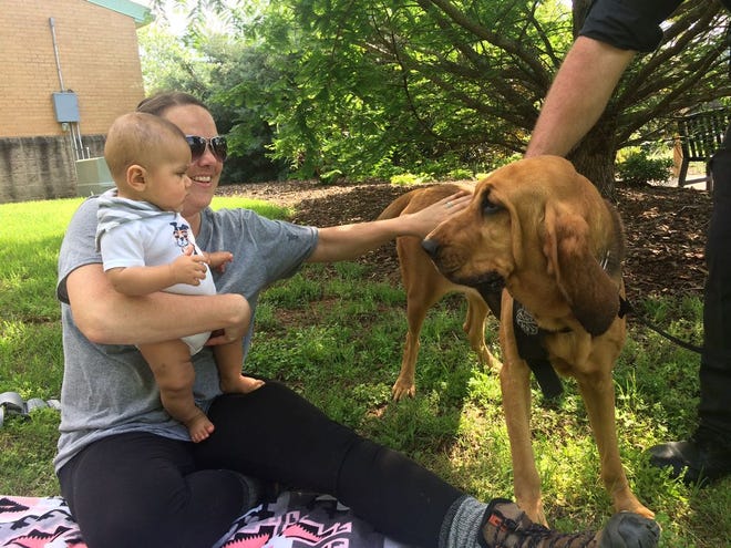 Emilio, 7 months, thanks Lacey for finding him during a staged missing person exercise hosted by Public Safety Dogs Inc.