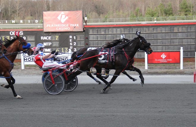 Fresh off a victory in her seasonal debut last week, Black Broadway came off cover to capture the $14,000 open trotting feature at Plainridge Park on April 20, and made history in the process. [Courtesy Photo]