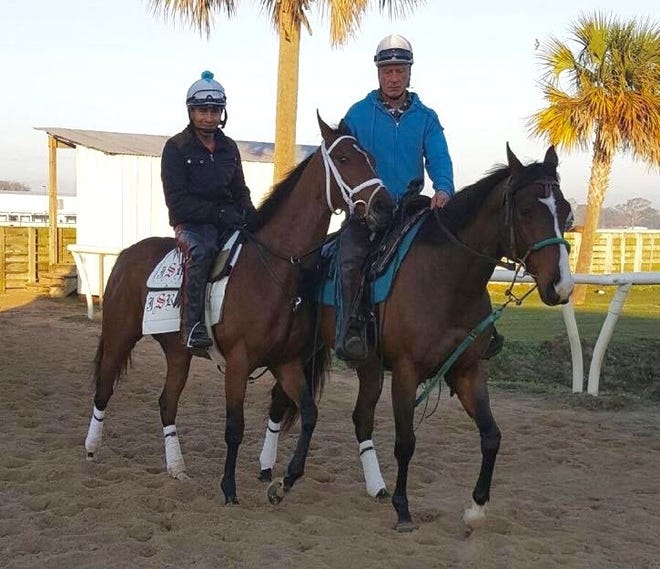 Girvin the horse, left, prepares for Saturday's performance in the Kentucky Derby. [COURTESY PHOTO]