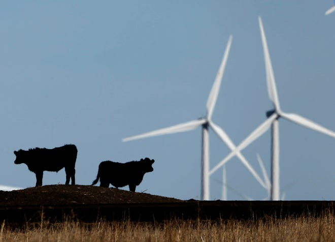In this file photo, cattle graze in a pasture against a backdrop of wind turbines which are part of the 155 turbine Smoky Hill Wind Farm near Vesper, Kan., Wednesday, Dec. 9, 2015. New wind farms brought online this year or planned for later this year will quadruple the amount of wind generation in Kansas in just six years, placing the state behind only Texas, Oklahoma, California and Iowa in producing wind energy, an analyst group said. (AP Photo/Charlie Riedel)