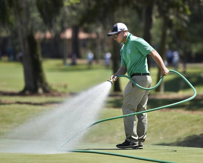 Lewis Cassidy waters dry spots on the ninth green as golfers practice Tuesday at the Stadium Course at TPC Sawgrass. (Will Dickey/Florida Times-Union)