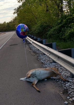 PHOTO SUPPLIED BY KRIS DIXON WILSON Last weekend, a get-well ballon was tied to a deer carcass alongside Illinois Route 29, at the foot of the Creve Coeur hill. This photo was posted on Facebook, sparking a debate over the propriety of the balloon gag.