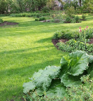 Grass walkways meander among beds of trees, flowers and edibles in this backyard garden. (Photo by Carol Ouverson)