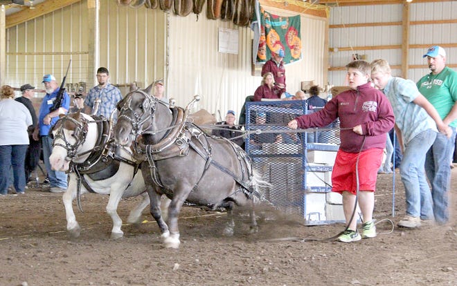 Wyatt Brown won the pony division during Saturday’s pulls. [ANDY BARRAND PHOTO]