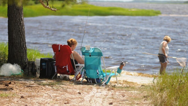 Carolina Beach State Park includes miles of hiking trails, numerous camp sites and a marina.