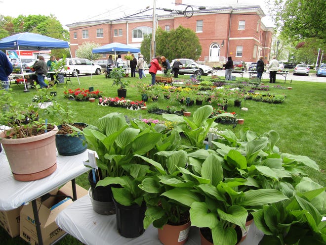 The Billerica Senior Center lawn seemed to be a garden center during the May 13 sale held by the Billerica Garden Club. [Courtesy Photo / Mary Leach]