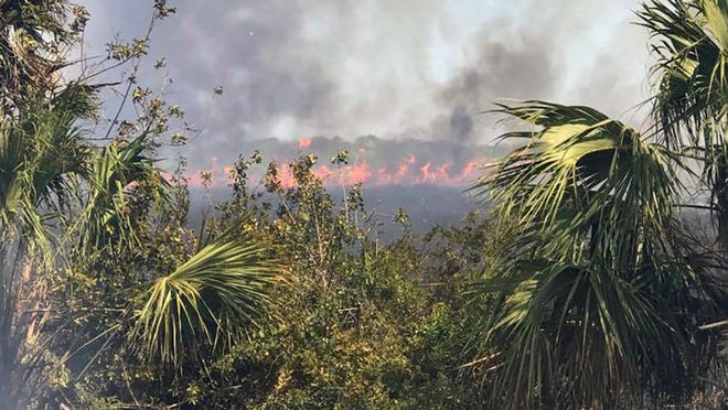 Fire crews from the Florida Forest Service and St. Lucie County fight a brush fire near U.S. 1. (Photo courtesy of the St. Lucie County Fire District)