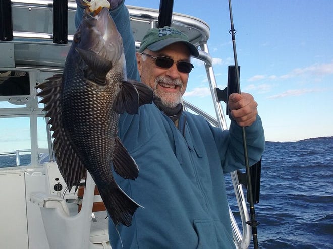 Kevin Fetzer with a black sea bass caught last year. The season opened Thursday with a three fish/person/day limit, however, regulations are expected to change.