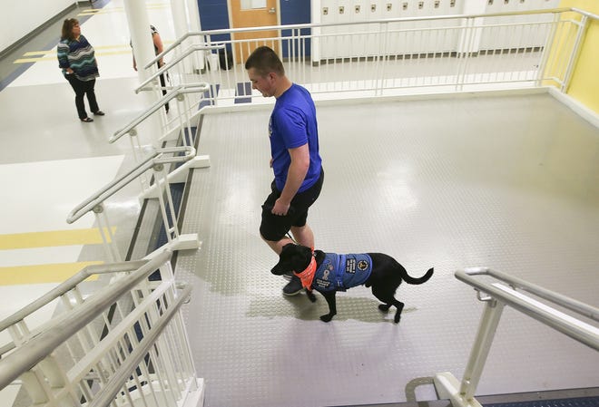 Stafford High School junior AJ Schalk, who has type 1 diabetes, walks through the school's hallways with his service dog Alpha in Stafford, VA on Wednesday, May 24, 2017. Alpha can tell when Schalk's blood sugar is askew by scent and gives Schalk a paw to warn Schalk. THE FREE LANCE-STAR VIA AP