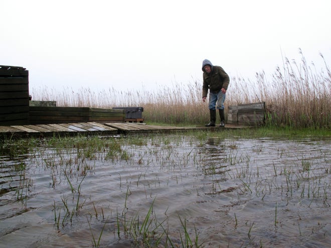 Jim O'Neill walks across a makeshift boardwalk he built in his backyard in Manahawkin N.J., because the property is almost always under water, even on sunny days. He lives in a low-lying area near the Jersey shore and is often affected by back bay flooding. [The Associated Press]