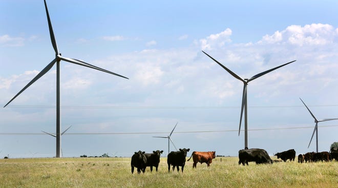 FILE: Cattle graze on farm land near wind turbines from the Frontier Wind project. [The Oklahoman archives]