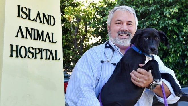 Brad Ochstein, owner of Island Animal Hospital, in February 2015. Meghan McCarthy/Daily News