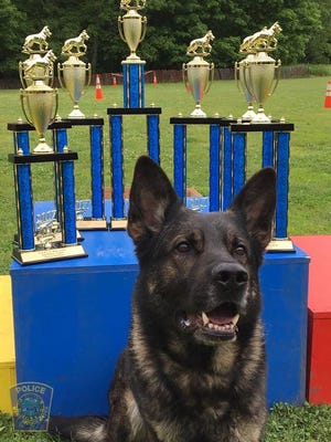 West Bridgewater Police K9 Tazer and K9 Officer Richard Flaherty won first place in several competitions at a national K9 certification program on Friday, June 2.