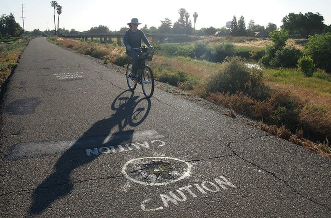 A bicyclist moves to the right of a large bump along the Calaveras River Bicycle and Pedestrian Path between Pacific and Pershing avenues. The city is awarding a $750,000 construction contract to upgrade the trail. [CALIXTRO ROMIAS/THE RECORD]