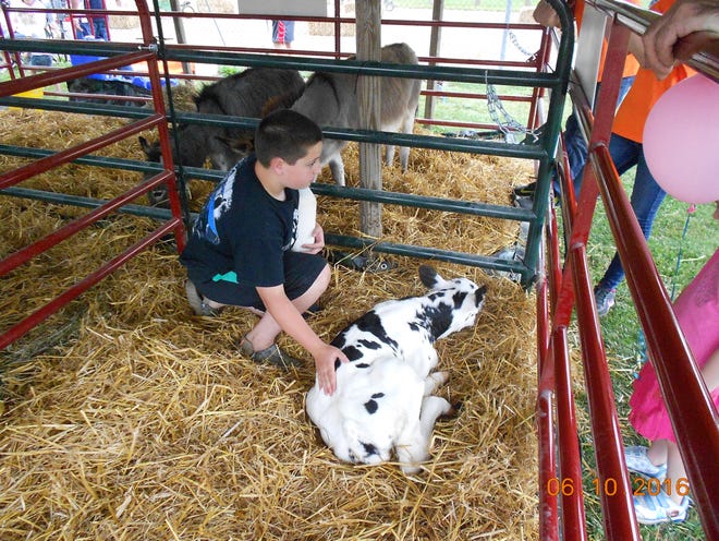 Submitted photo

Children will have the opportunity to get a close-up look at farm animals during the annual Ag in the City event Friday in Tuscora Park.