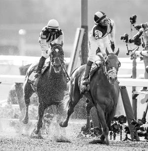 Jose Ortiz, right, reacts after pushing Tapwrit to the finish line, winning the 149th running of the Belmont Stakes on Saturday, in Elmont, N.Y. J. Conrad Williams Jr./Newsday/TNS