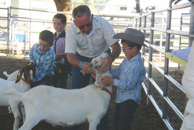 The Pre-Fair at the Siskiyou Golden Fairgrounds assists junior exhibitors with the showing of their animals.